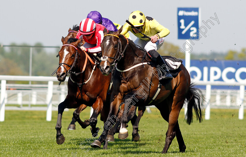 Cold-Case-0003 
 COLD CASE (right, Clifford Lee) beats BRADSELL (left) in The British Racing School 40th Anniversary Commonwealth Cup Trial Stakes
Ascot 3 May 2023 - Pic Steven Cargill / Racingfotos.com