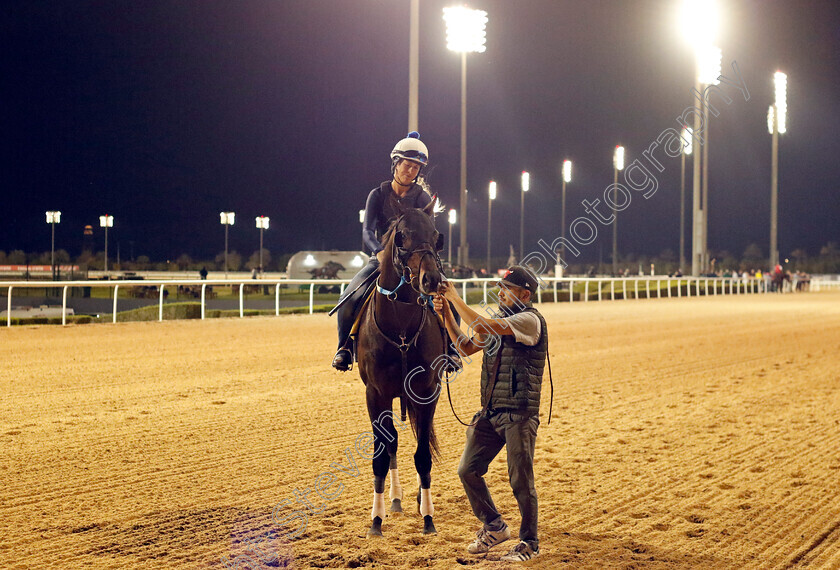 Gunite-0001 
 GUNITE training for the Golden Shaheen
Meydan, Dubai, 23 Mar 2023 - Pic Steven Cargill / Racingfotos.com