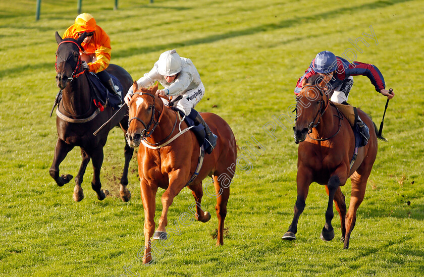 Poet s-Society-0003 
 POET'S SOCIETY (centre, Jim Crowley) beats MAGICAL DREAMER (right) and ANNIE SALTS (left) in The Wainwright Golden Ale Handicap Yarmouth 19 Sep 2017 - Pic Steven Cargill / Racingfotos.com