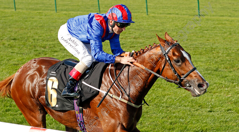 Nayef-Road-0004 
 NAYEF ROAD (Andrea Atzeni) wins The Jockey Club Rose Bowl Stakes
Newmarket 23 Sep 2021 - Pic Steven Cargill / Racingfotos.com