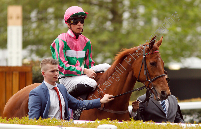 Fashion s-Star-0001 
 FASHION'S STAR (Jason Watson)
Ascot 1 May 2019 - Pic Steven Cargill / Racingfotos.com