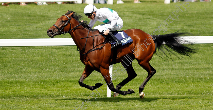 Friendly-Soul-0003 
 FRIENDLY SOUL (Kieran Shoemark) wins The Longines Valiant Stakes
Ascot 27 Jul 2024 - Pic Steven Cargill / Racingfotos.com