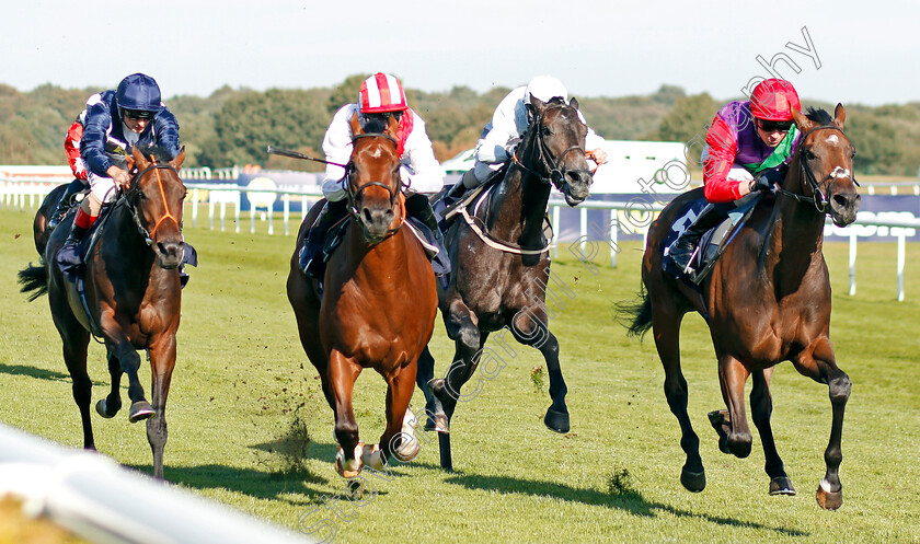 Lucander-0002 
 LUCANDER (Rob Hornby) beats WILD THUNDER (2nd left) and KINGBROOK (2nd right) in The Napoleons Casinos & Restaurants Nursery
Doncaster 14 Sep 2019 - Pic Steven Cargill / Racingfotos.com