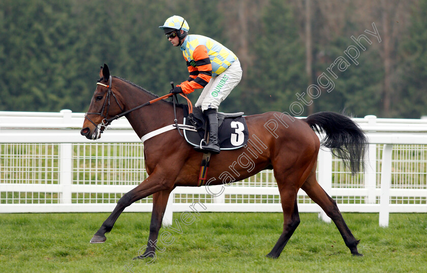 Morning-Vicar-0001 
 MORNING VICAR (Nico de Boinville)
Newbury 22 Mar 2019 - Pic Steven Cargill / Racingfotos.com