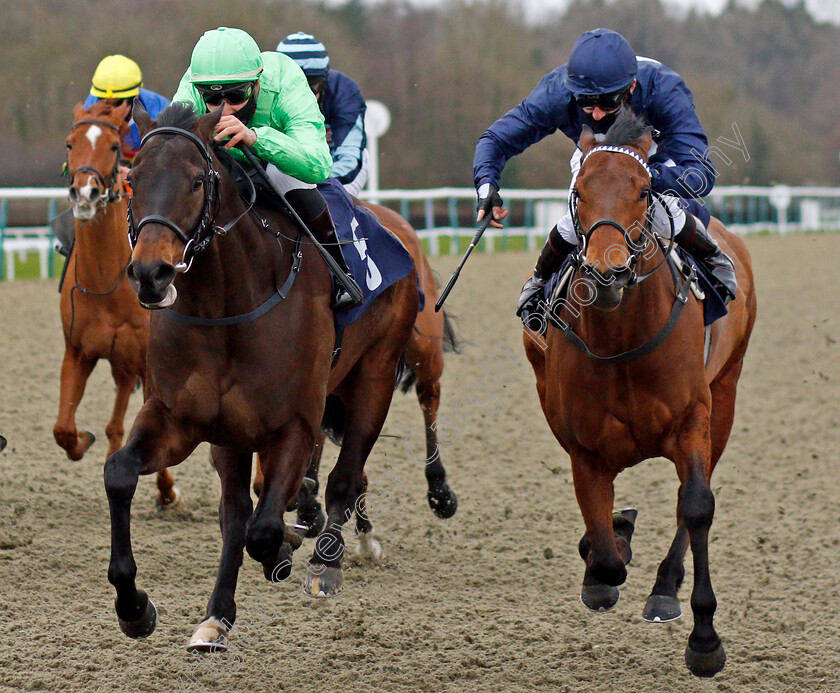 Arctic-Sea-0003 
 ARCTIC SEA (left, Mohammed Tabti) beats SONGKRAN (right) in The Betway Handicap
Lingfield 19 Feb 2021 - Pic Steven Cargill / Racingfotos.com