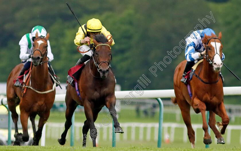 Yaroogh-0005 
 YAROOGH (centre, Tom Marquand) beats SEAGULLS ELEVEN (right) in The Betfred Supporting Macmillan Novice Stakes
Haydock 24 May 2024 - Pic Steven Cargill / Racingfotos.com