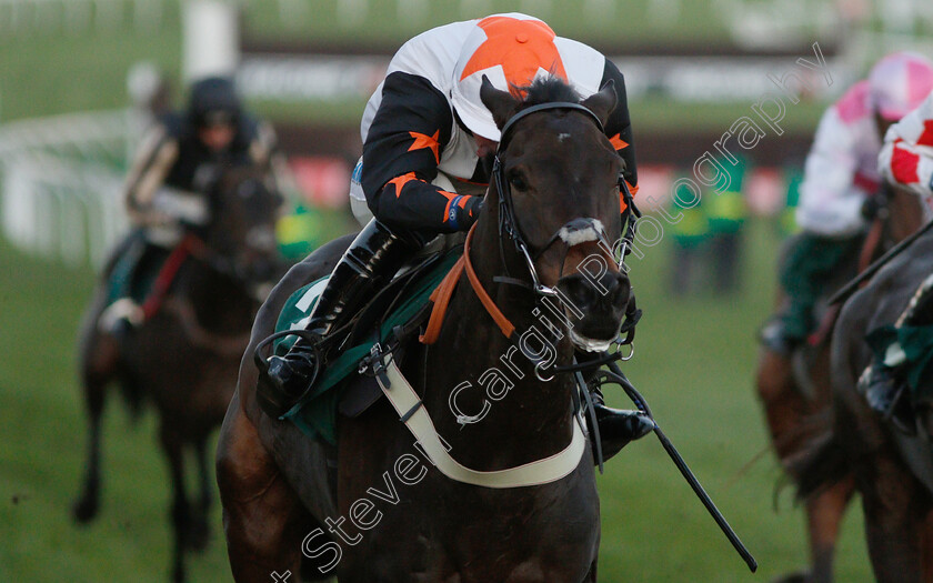 Master-Debonair-0005 
 MASTER DEBONAIR (James Bowen) wins The High Sheriff Of Gloucestershire And Racing Remember Stanadard Open National Hunt Flat Race
Cheltenham 18 Nov 2018 - Pic Steven Cargill / Racingfotos.com