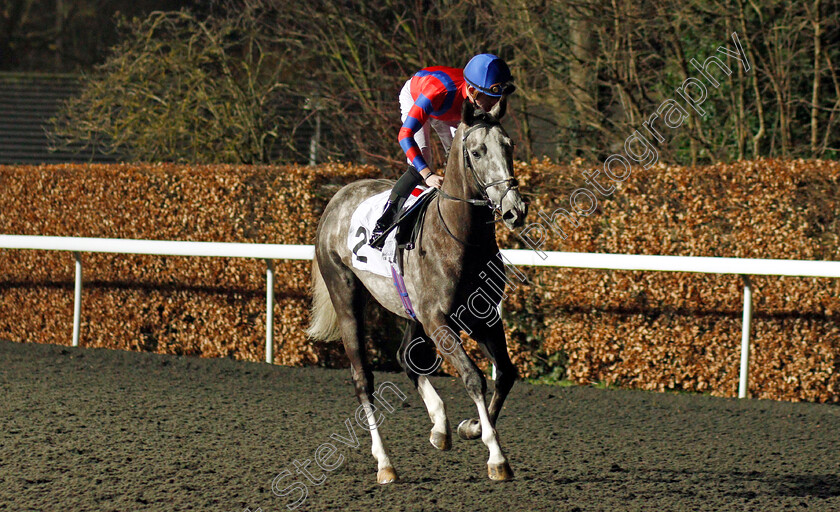 Arctic-Vega-0001 
 ARCTIC VEGA (Rob Hornby) winner of The 32Red On The App Store Maiden Stakes Div1
Kempton 19 Feb 2020 - Pic Steven Cargill / Racingfotos.com