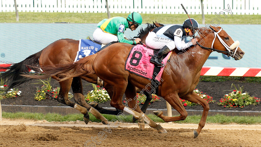 Point-Of-Honor-0005 
 POINT OF HONOR (Javier Castellano) wins The Black-Eyed Susan Stakes
Pimlico, Baltimore USA, 17 May 2019 - Pic Steven Cargill / Racingfotos.com