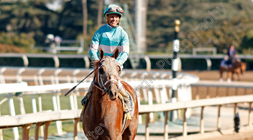 British-Idiom-0010 
 BRITISH IDIOM (Javier Castellano) after The Breeders' Cup Juvenile Fillies
Santa Anita USA 1 Nov 2019 - Pic Steven Cargill / Racingfotos.com