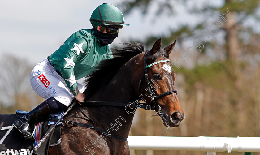 Amtiyaz-0002 
 AMTIYAZ (Hollie Doyle)
Lingfield 2 Apr 2021 - Pic Steven Cargill / Racingfotos.com