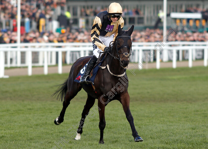 Voix-du-Reve-0001 
 VOIX DU REVE (Ruby Walsh)
Cheltenham 14 Mar 2019 - Pic Steven Cargill / Racingfotos.com