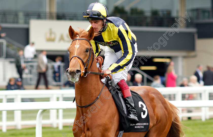 Can t-Stop-Now-0001 
 CAN'T STOP NOW (Adam Kirby)
Ascot 1 May 2019 - Pic Steven Cargill / Racingfotos.com