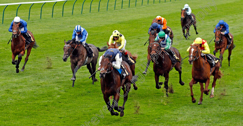 Beau-Jardine-0002 
 BEAU JARDINE (Eoin Walsh) wins The Follow Mansionbet On Instagram British EBF Novice Stakes
Newmarket 30 Oct 2020 - Pic Steven Cargill / Racingfotos.com