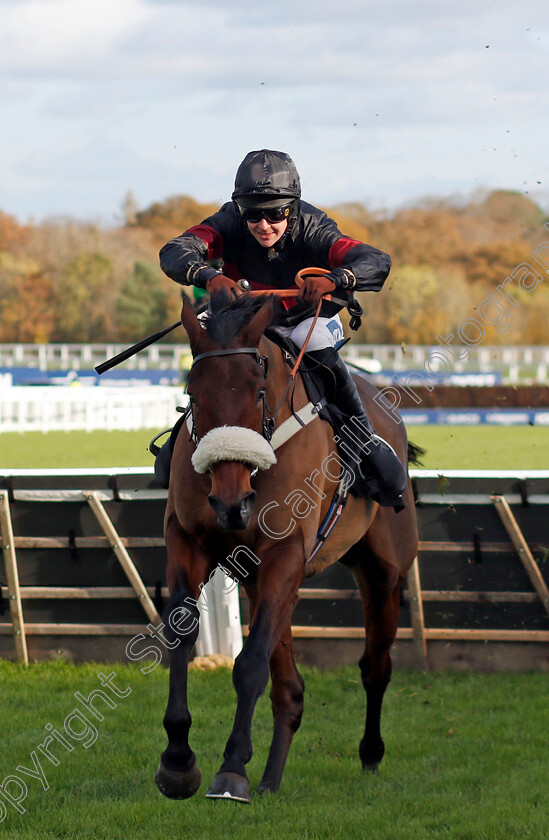 First-Confession-0004 
 FIRST CONFESSION (Brendan Powell) wins The Safer Gambling Week National Hunt Maiden Hurdle
Ascot 22 Nov 2024 - Pic Steven Cargill / Racingfotos.com