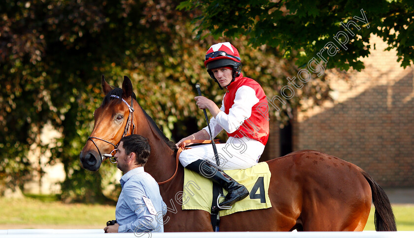 Foxes-Flyer-0001 
 FOXES FLYER (Jamie Jones)
Kempton 22 May 2019 - Pic Steven Cargill / Racingfotos.com