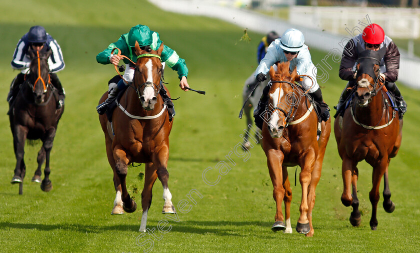 Some-Nightmare-0006 
 SOME NIGHTMARE (left, William Buick) beats UNDER CURFEW (2nd right) in The Inkerman Handicap
Goodwood 22 Sep 2021 - Pic Steven Cargill / Racingfotos.com