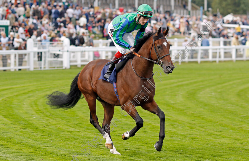 Chourmo-0001 
 CHOURMO (David Egan)
Yarmouth 13 Sep 2022 - Pic Steven Cargill / Racingfotos.com