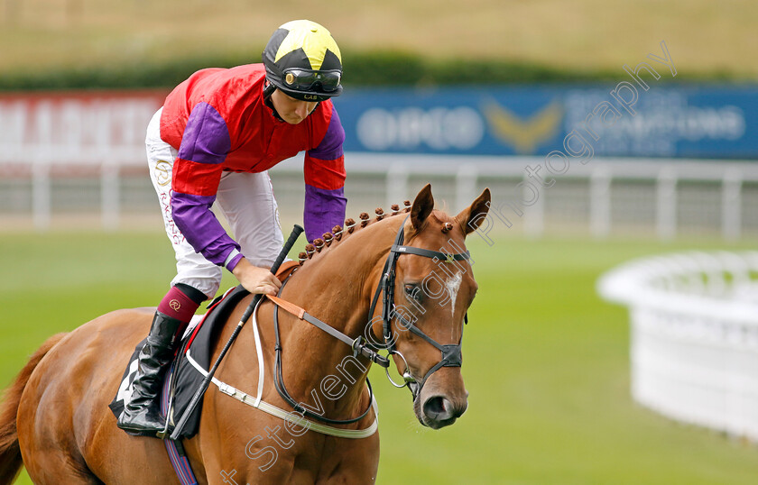 Dornoch-Castle-0002 
 DORNOCH CASTLE (Cieren Fallon)
Goodwood 26 Jul 2022 - Pic Steven Cargill / Racingfotos.com