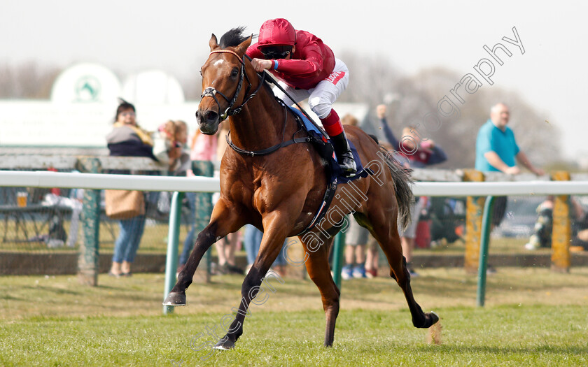 King-Of-Comedy-0007 
 KING OF COMEDY (Frankie Dettori) wins The Eastern Power Systems Of Norwich Novice Stakes
Yarmouth 23 Apr 2019 - Pic Steven Cargill / Racingfotos.com