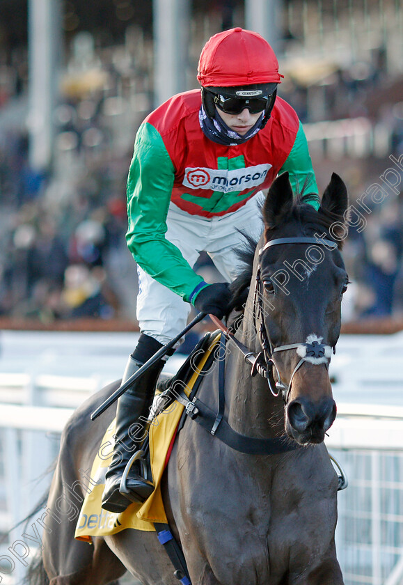 Enrilo-0001 
 ENRILO (Harry Cobden)
Cheltenham 10 Dec 2021 - Pic Steven Cargill / Racingfotos.com