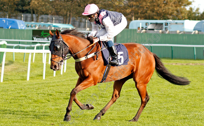 Rocketeer-0001 
 ROCKETEER (William Buick)
Yarmouth 17 Sep 2020 - Pic Stevn Cargill / Racingfotos.com