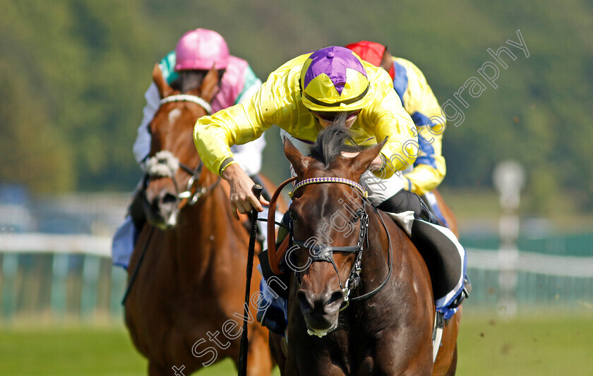 Sea-Silk-Road-0001 
 SEA SILK ROAD (Tom Marquand) wins The Lester Piggott Pinnacle Stakes
Haydock 10 Jun 2023 - Pic Steven Cargill / Racingfotos.com