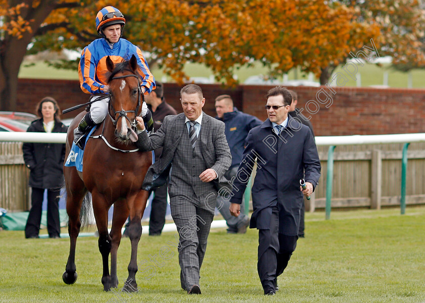 Battle-Of-Jericho-0001 
 BATTLE OF JERICHO (Ryan Moore) with Aidan O'Brien Newmarket 13 Oct 2017 - Pic Steven Cargill / Racingfotos.com