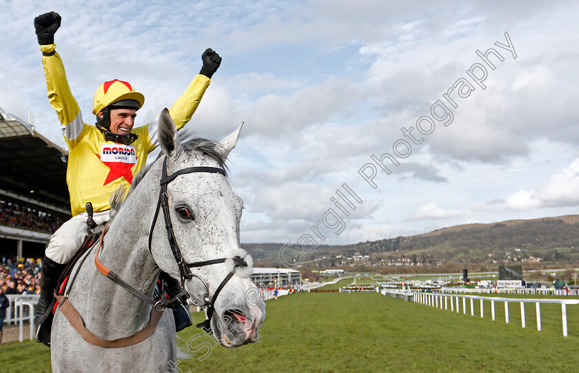 Politologue-0015 
 POLITOLOGUE (Harry Skelton) after The Betway Queen Mother Champion Chase
Cheltenham 11 Mar 2020 - Pic Steven Cargill / Racingfotos.com