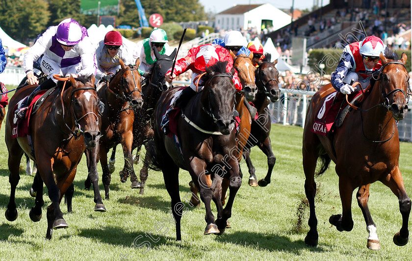 Sir-Dancealot-0003 
 SIR DANCEALOT (right, Gerald Mosse) beats SUEDOIS (centre) and BRETON ROCK (left) in The Qatar Lennox Stakes
Goodwood 31 Jul 2018 - Pic Steven Cargill / Racingfotos.com