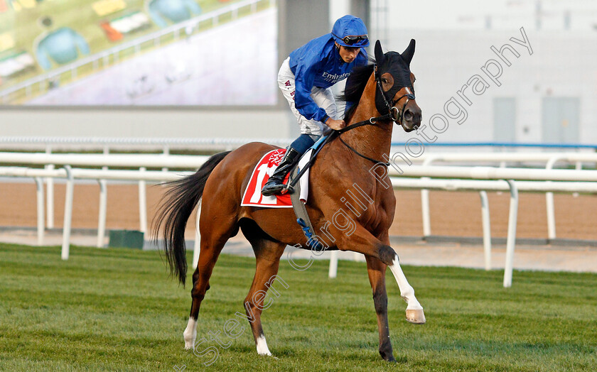 Barney-Roy-0001 
 BARNEY ROY (William Buick) winner of The Jebel Hatta
Meydan 7 Mar 2020 - Pic Steven Cargill / Racingfotos.com