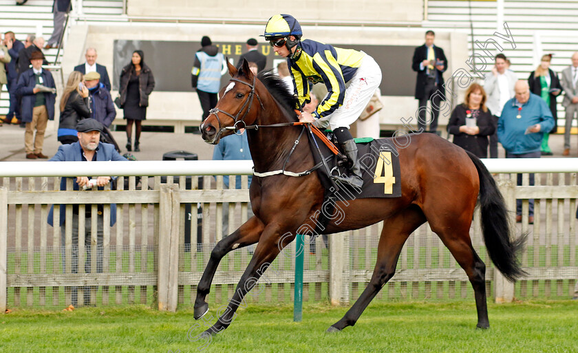 Fools-And-Horses-0001 
 FOOLS AND HORSES (Rossa Ryan)
Newmarket 29 Oct 2022 - Pic Steven Cargill / Racingfotos.com