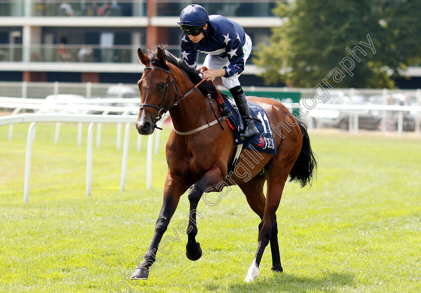 Island-Brave-0001 
 ISLAND BRAVE (Luke Morris)
Newbury 21 Jul 2018 - Pic Steven Cargill / Racingfotos.com