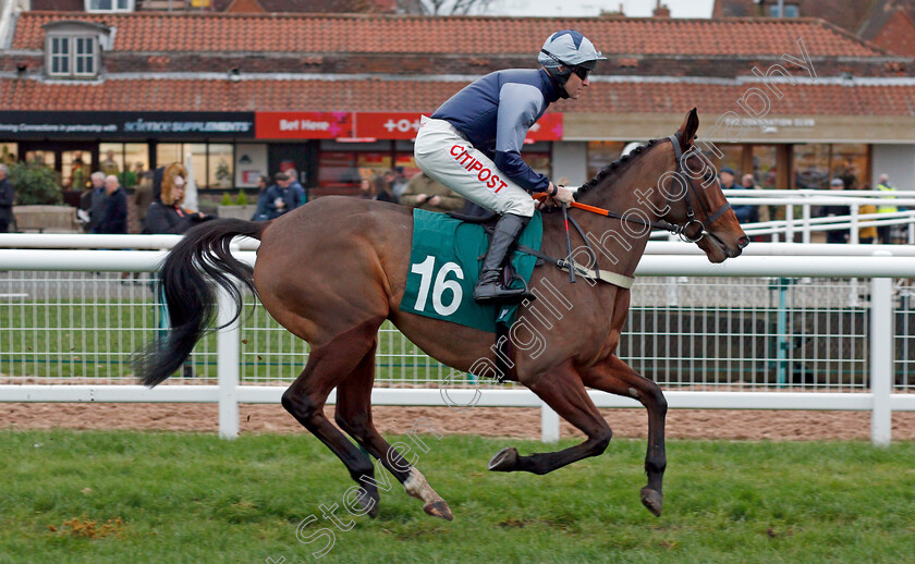 Double-For-Fun 
 DOUBLE FOR FUN (Nick Scholfield) 
Warwick 9 Dec 2021 - Pic Steven Cargill / Racingfotos.com