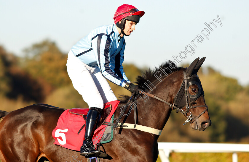 Smaoineamh-Alainn-0001 
 SMAOINEAMH ALAINN (James Best)
Kempton 21 Oct 2018 - Pic Steven Cargill / Racingfotos.com