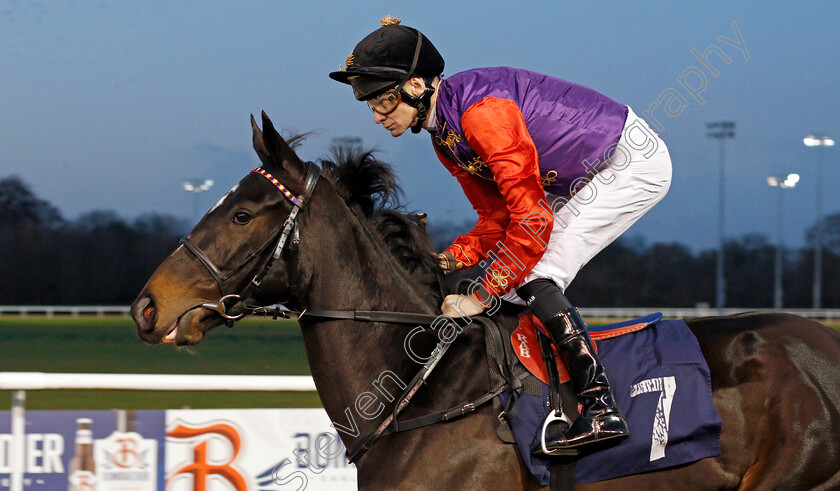 Lightness-0002 
 LIGHTNESS (Robert Havlin)
Wolverhampton 26 Nov 2019 - Pic Steven Cargill / Racingfotos.com