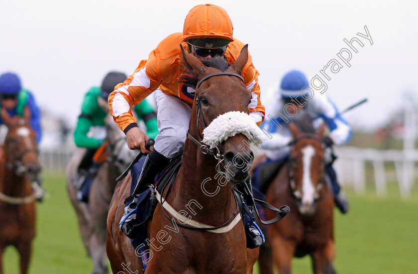 Alfred-0001 
 ALFRED (John Egan) wins The AKS Skip Hire Services Nursery
Yarmouth 19 Sep 2023 - Pic Steven Cargill / Racingfotos.com