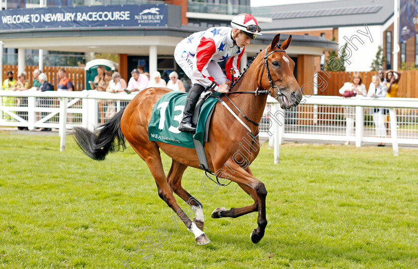 Dearly-Beloved-0001 
 DEARLY BELOVED (Rowan Scott)
Newbury 20 Jul 2019 - Pic Steven Cargill / Racingfotos.com