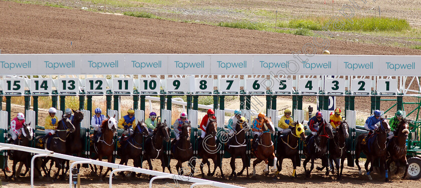 Realize-Rock-0001 
 The field break from the stalls for the Tabergs Bro Park Trial won by REALIZE ROCK (Andreas Tapia Dalbark, stall 1)
Bro Park, Sweden 30 Jun 2019 - Pic Steven Cargill / Racingfotos.com