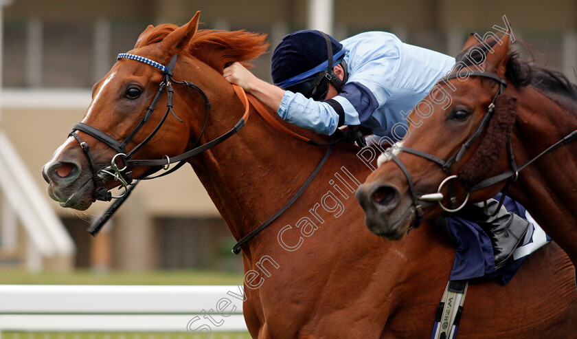 Nicklaus-0008 
 NICKLAUS (Tom Marquand) wins The attheraces.com Handicap
Yarmouth 16 Sep 2020 - Pic Steven Cargill / Racingfotos.com