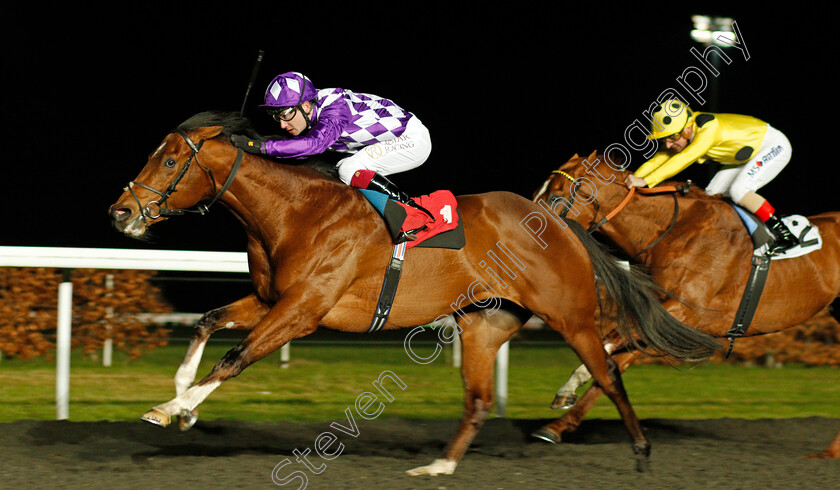 Godhead-0003 
 GODHEAD (Oisin Murphy) wins The 32Red Casino Novice Stakes
Kempton 17 Feb 2020 - Pic Steven Cargill / Racingfotos.com