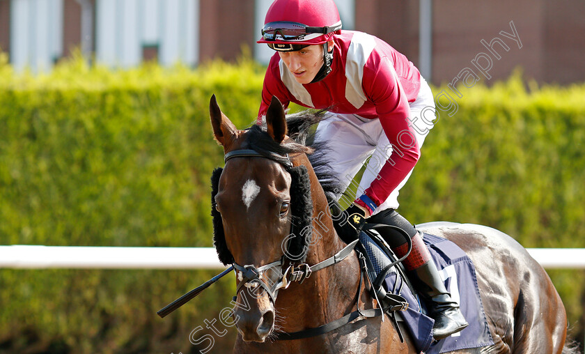 Colonize-0001 
 COLONIZE (David Egan)
Wolverhampton 11 Aug 2020 - Pic Steven Cargill / Racingfotos.com