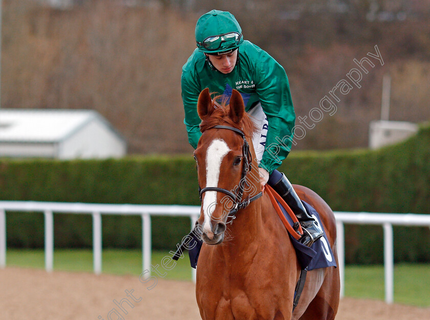 Raven s-Lady-0001 
 RAVEN'S LADY (Oisin Murphy) Wolverhampton 4 Jan 2018 - Pic Steven Cargill / Racingfotos.com