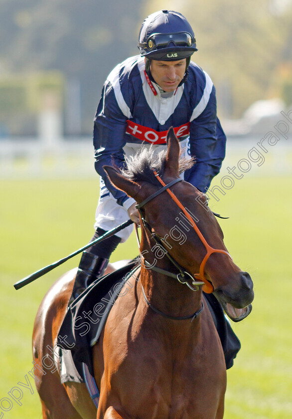 Trillium-0001 
 TRILLIUM (Pat Dobbs)
Ascot 3 May 2023 - Pic Steven Cargill / Racingfotos.com