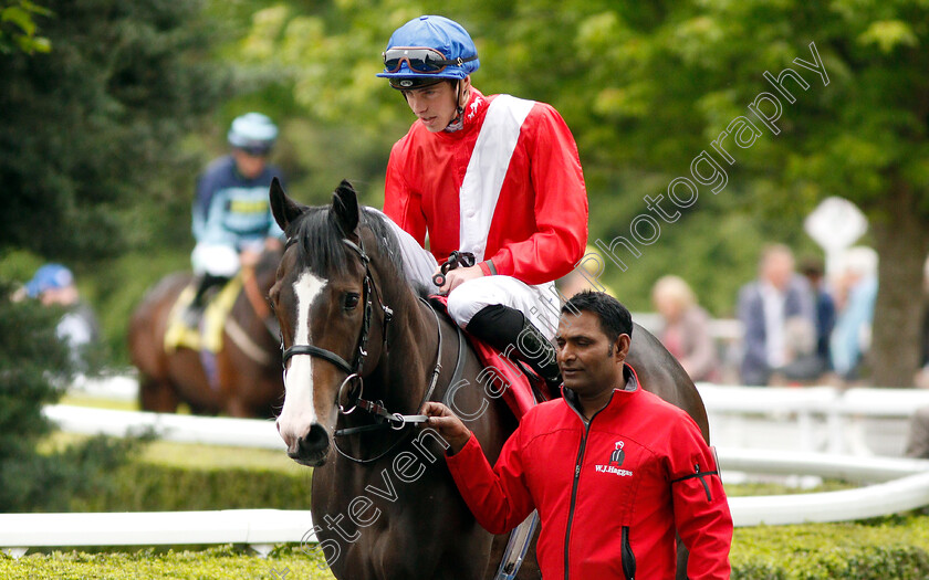 Destination-0003 
 DESTINATION (James Doyle)
Kempton 5 Jun 2019 - Pic Steven Cargill / Racingfotos.com