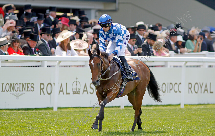 Maria-Branwell 
 MARIA BRANWELL (Kieran Shoemark)
Royal Ascot 15 Jun 2022 - Pic Steven Cargill / Racingfotos.com