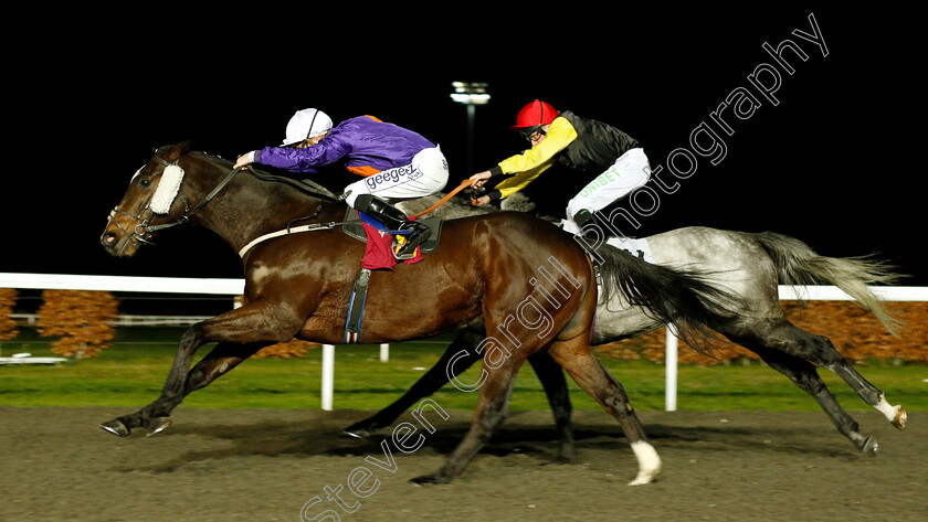 Viola-Park-0003 
 VIOLA PARK (David Probert) wins The Close Brothers Business Finance Handicap
Kempton 12 Dec 2018 - Pic Steven Cargill / Racingfotos.com