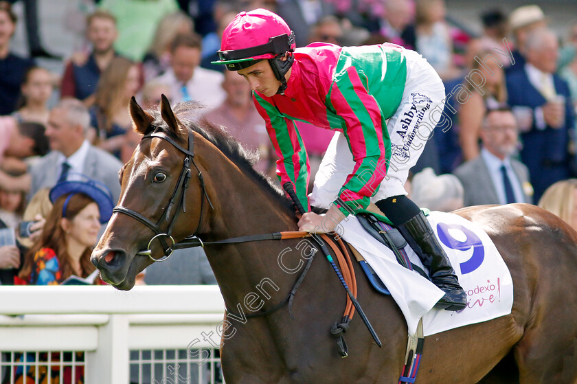 Tales-Of-The-Heart-0002 
 TALES OF THE HEART (Rossa Ryan)
Ascot 27 Jul 2024 - Pic Steven Cargill / Racingfotos.com