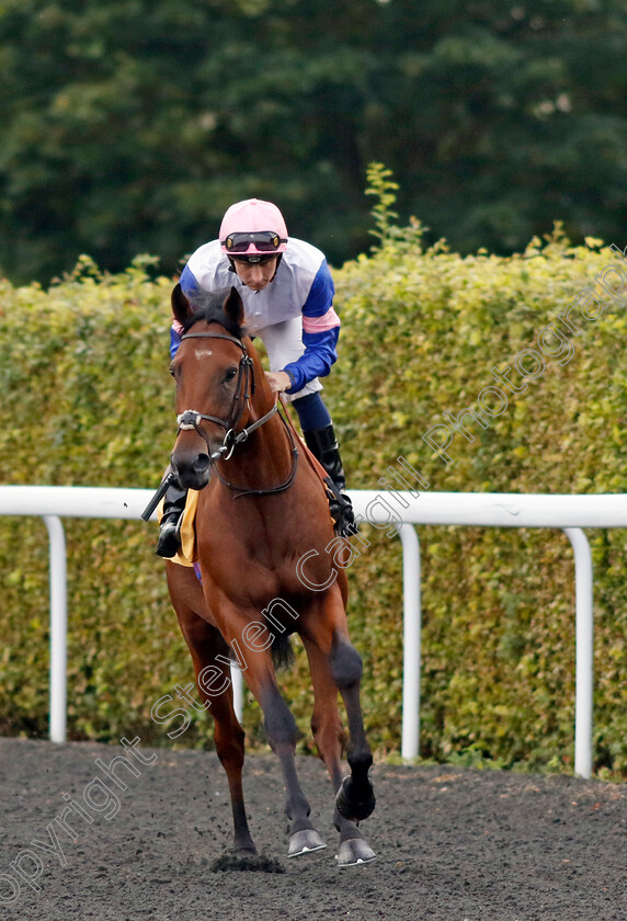 Prince-Of-The-Seas-0001 
 PRINCE OF THE SEAS (Hector Crouch)
Kempton 28 Aug 2024 - Pic Steven Cargill / Racingfotos.com