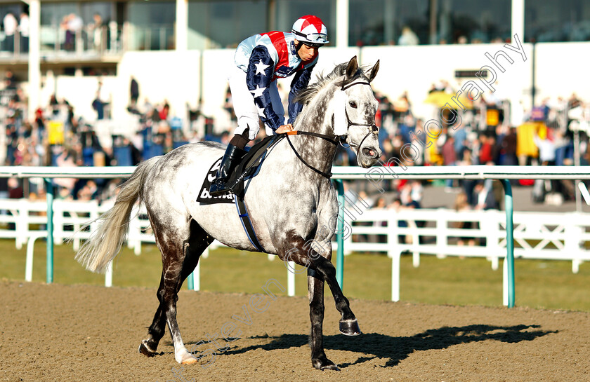 Master-The-World-0002 
 MASTER THE WORLD (Sean Levey)
Lingfield 23 Feb 2019 - Pic Steven Cargill / Racingfotos.com